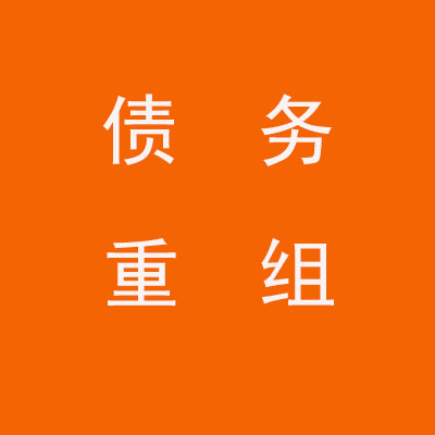 成武个人债务重组优化